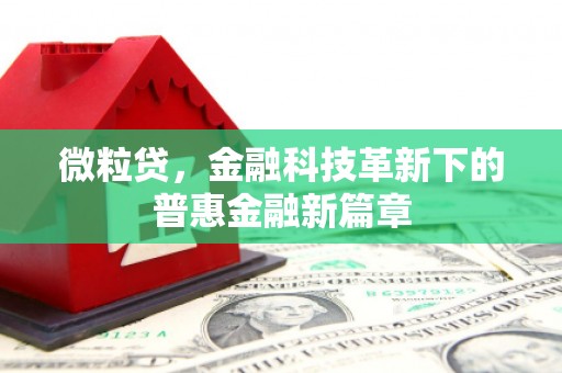 离石微粒贷，金融科技革新下的普惠金融新篇章