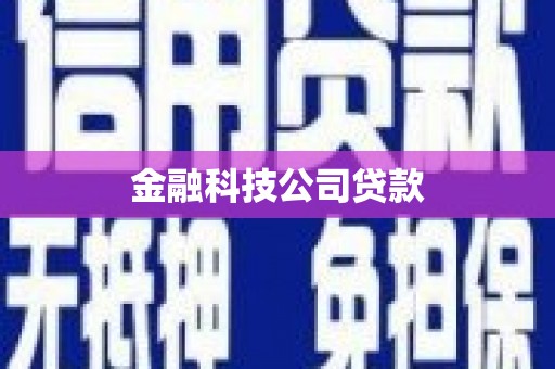 离石金融科技公司贷款