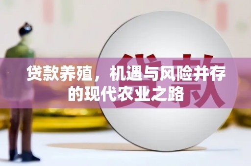 离石贷款养殖，机遇与风险并存的现代农业之路