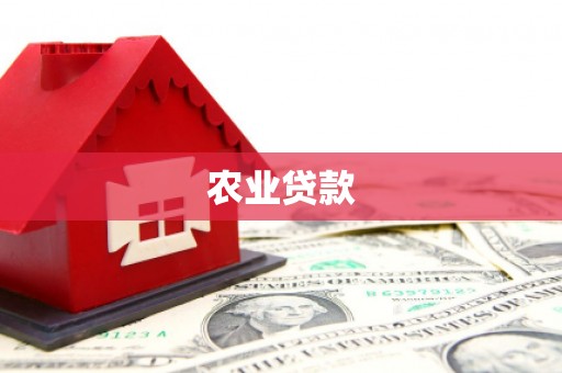 离石农业贷款