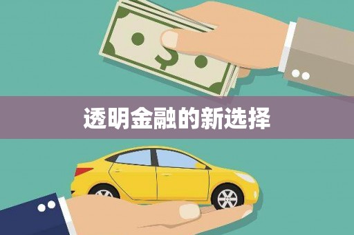 离石透明金融的新选择