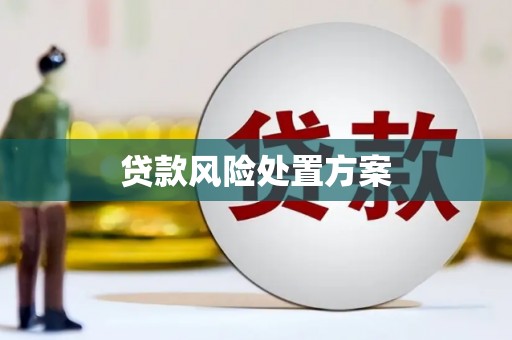 离石贷款风险处置方案