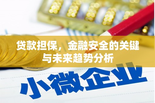 离石贷款担保，金融安全的关键与未来趋势分析