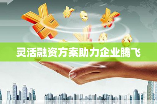 离石灵活融资方案助力企业腾飞
