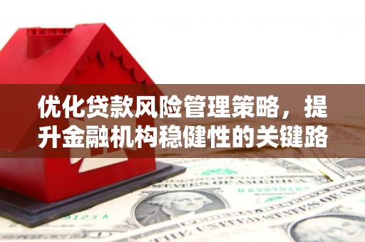 离石优化贷款风险管理策略，提升金融机构稳健性的关键路径