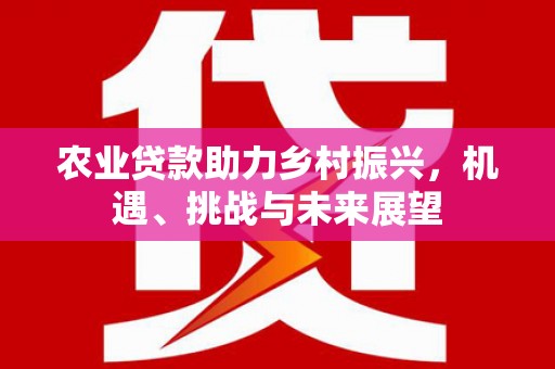 离石农业贷款助力乡村振兴，机遇、挑战与未来展望