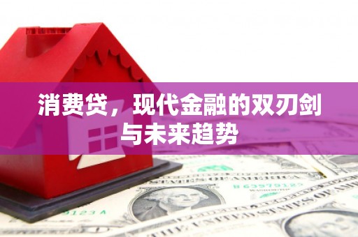 离石消费贷，现代金融的双刃剑与未来趋势