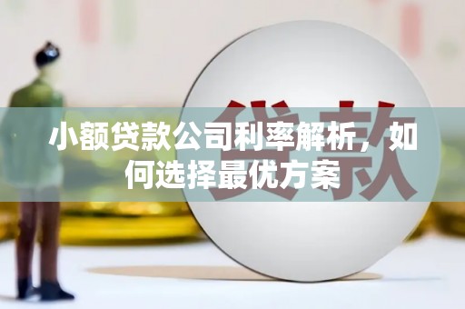 离石小额贷款公司利率解析，如何选择最优方案
