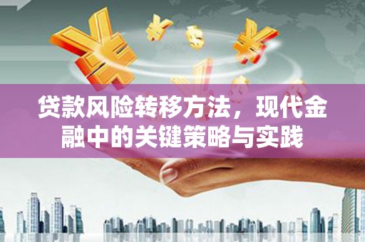 离石贷款风险转移方法，现代金融中的关键策略与实践