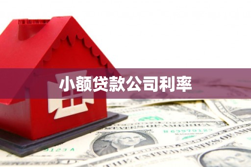 离石小额贷款公司利率