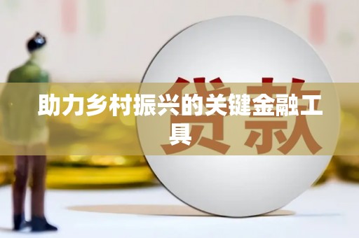 离石助力乡村振兴的关键金融工具