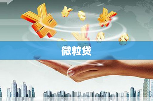 离石微粒贷