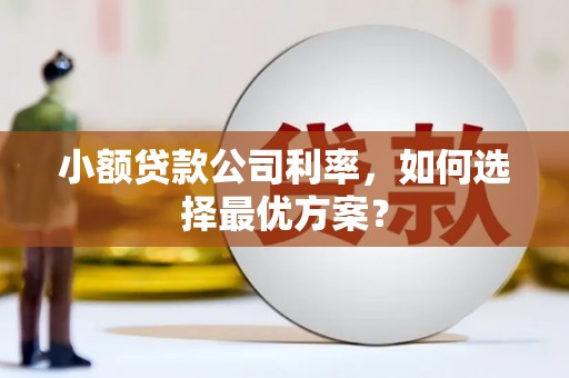 离石小额贷款公司利率，如何选择最优方案？