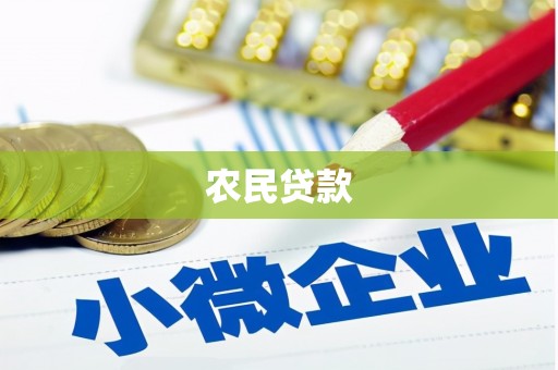 离石农民贷款