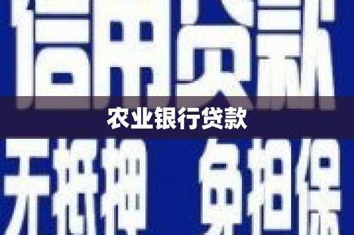 离石农业银行贷款