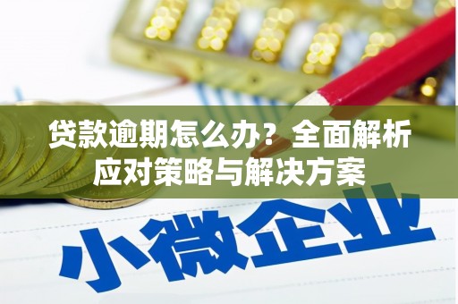 离石贷款逾期怎么办？全面解析应对策略与解决方案