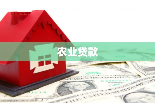 离石农业贷款