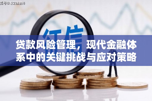 离石贷款风险管理，现代金融体系中的关键挑战与应对策略