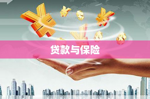离石贷款与保险