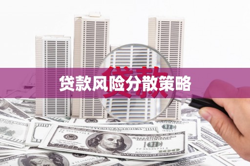 离石贷款风险分散策略
