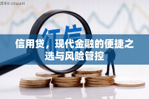 离石信用贷，现代金融的便捷之选与风险管控
