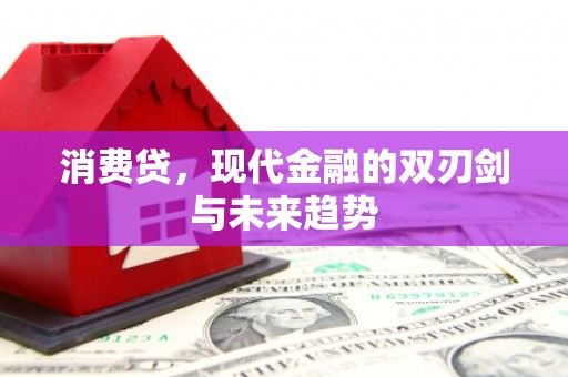 离石消费贷，现代金融的双刃剑与未来趋势