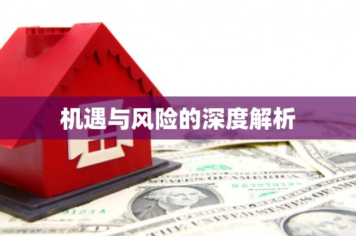 离石机遇与风险的深度解析