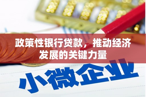 离石政策性银行贷款，推动经济发展的关键力量