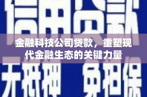 离石金融科技公司贷款，重塑现代金融生态的关键力量