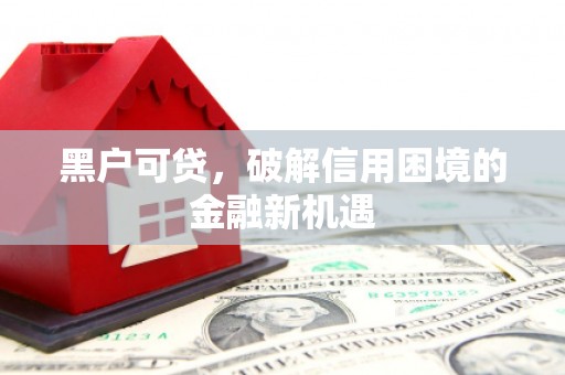 离石黑户可贷，破解信用困境的金融新机遇