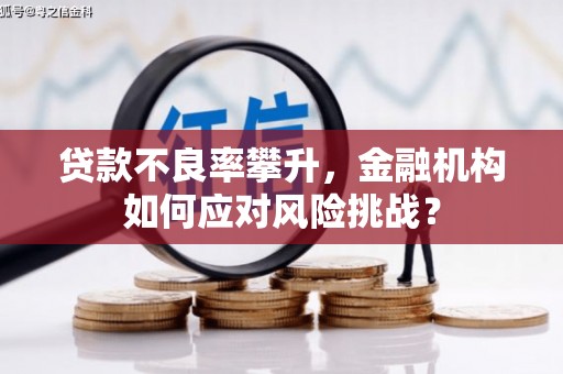 离石贷款不良率攀升，金融机构如何应对风险挑战？