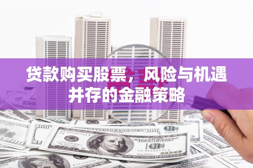 离石贷款购买股票，风险与机遇并存的金融策略
