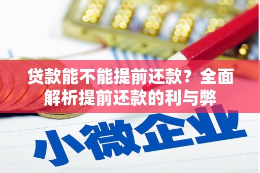 离石贷款能不能提前还款？全面解析提前还款的利与弊