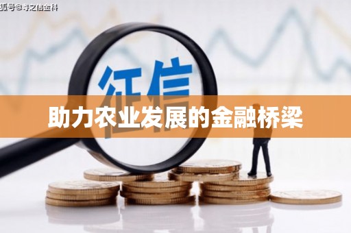 离石助力农业发展的金融桥梁