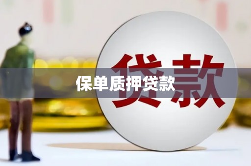 离石保单质押贷款