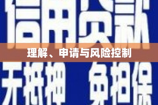 离石理解、申请与风险控制