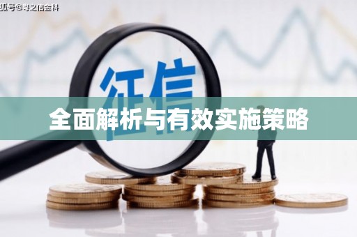 离石全面解析与有效实施策略