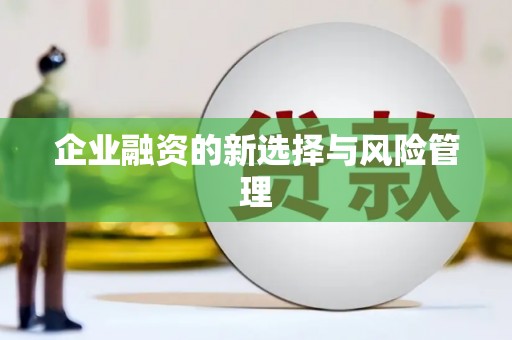 离石企业融资的新选择与风险管理