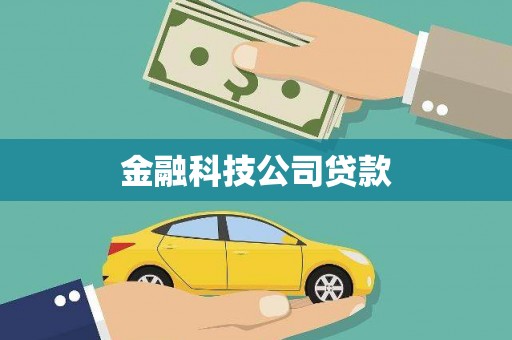 离石金融科技公司贷款