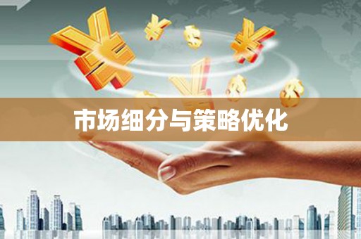 离石市场细分与策略优化