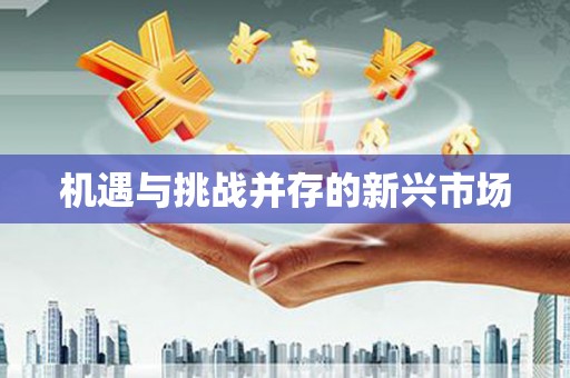 离石机遇与挑战并存的新兴市场