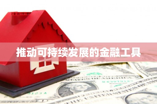 离石推动可持续发展的金融工具