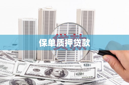 离石保单质押贷款