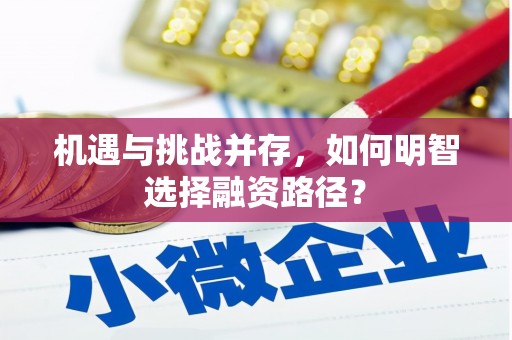 离石机遇与挑战并存，如何明智选择融资路径？
