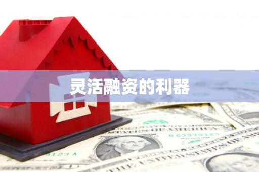 离石灵活融资的利器