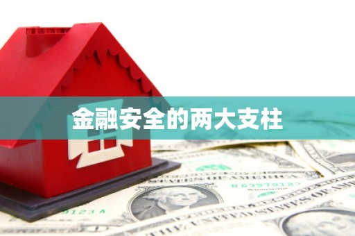 离石金融安全的两大支柱