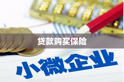 离石贷款购买保险