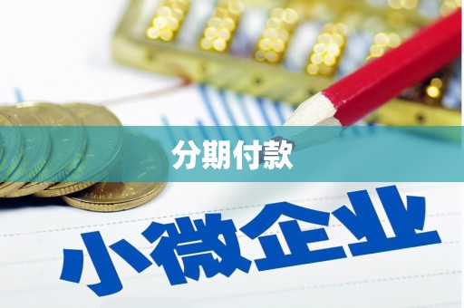离石分期付款