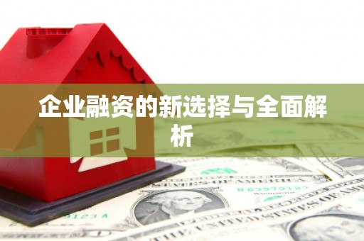 离石企业融资的新选择与全面解析