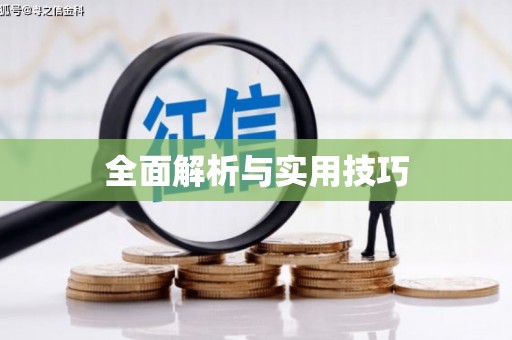 离石全面解析与实用技巧